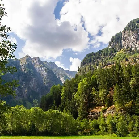 Heimat -