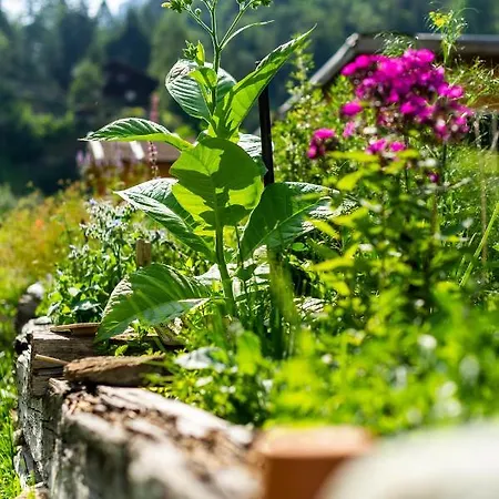 Heimat - Das Natur Hotel 3*