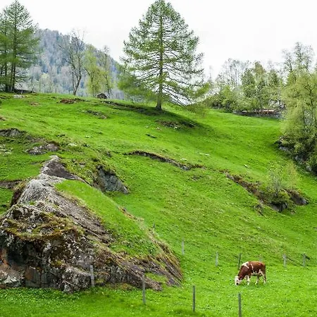 Heimat -