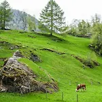 Heimat