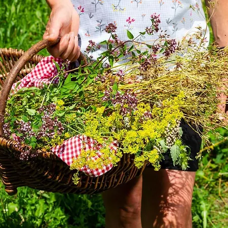 Heimat - 3* Prägraten