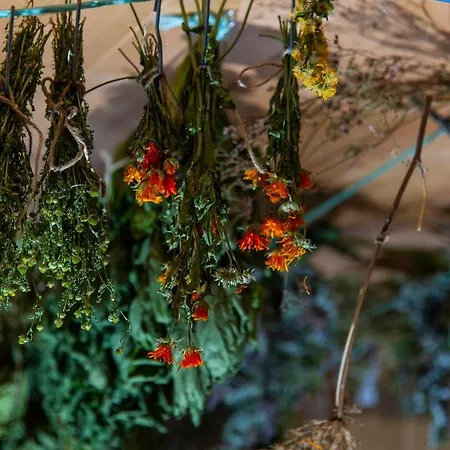 Heimat - 3* Prägraten